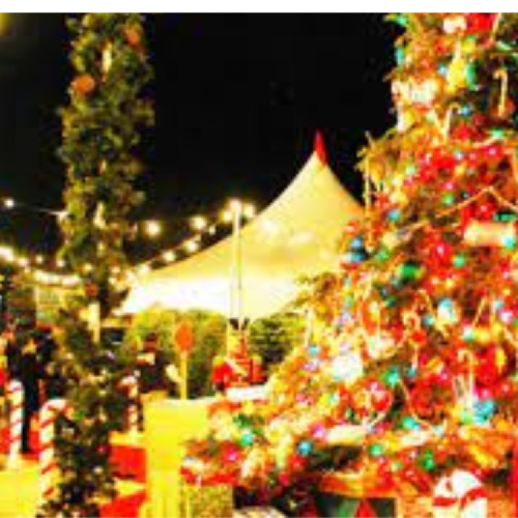 हैदराबाद में क्रिसमस पारंपरिक उत्साह के साथ मनाया गया