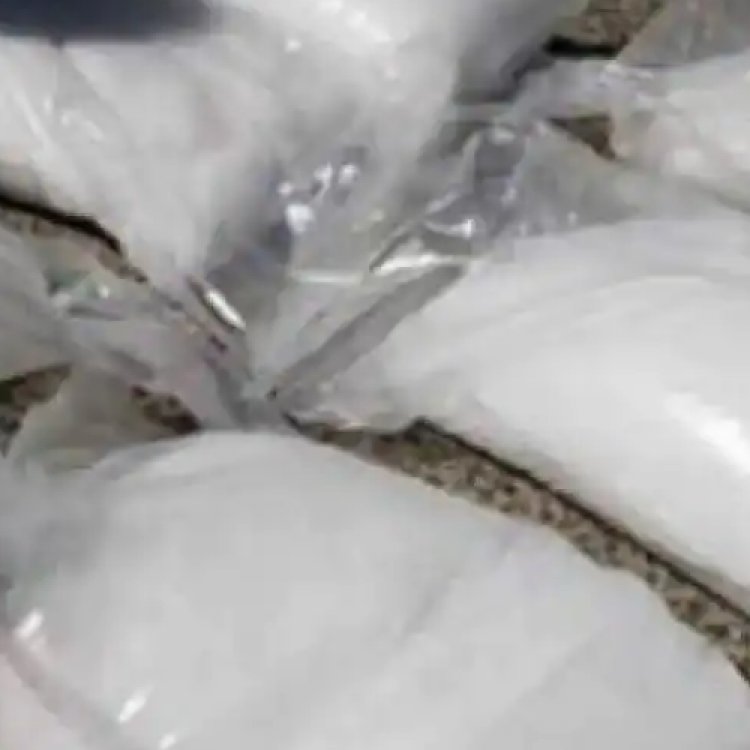 नाइजीरियाई मूल के ड्रग तस्कर से 7 करोड़ रुपये की ड्रग्स बरामद