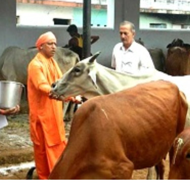 स्वदेशी गाय की खरीद पर ट्रांसर्पोटेशन और बीमा का खर्च उठाएगी योगी सरकार